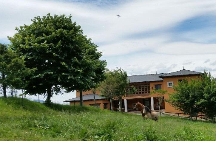 Hotel Rural Yeguada Albeitar Villayón Exterior foto